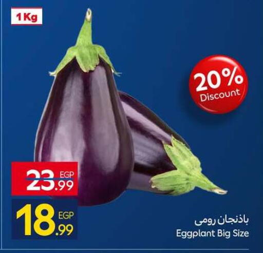 Eggplant available at Carrefour  in Egypt - Cairo