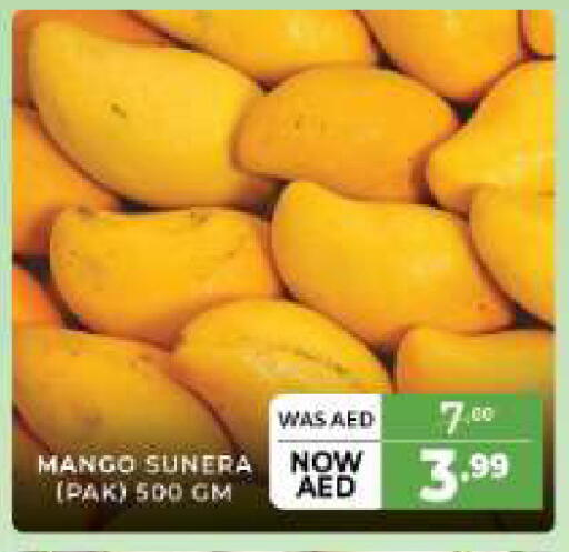 Mango available at المدينة in الإمارات العربية المتحدة , الامارات - الشارقة / عجمان