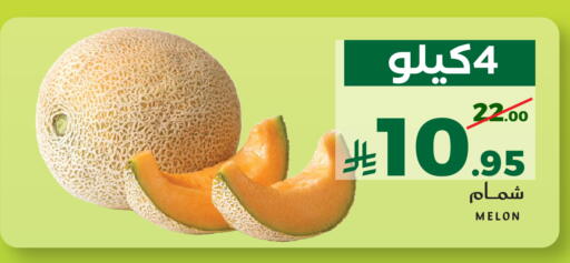 Melon available at ميرا مارت مول in مملكة العربية السعودية, السعودية, سعودية - جدة
