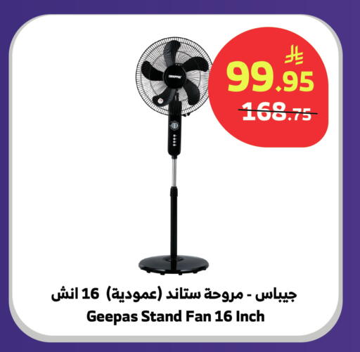 available at الراية in مملكة العربية السعودية, السعودية, سعودية - جدة