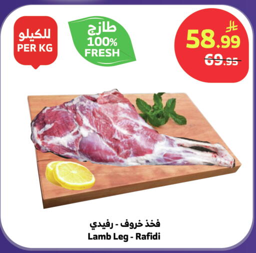 available at الراية in مملكة العربية السعودية, السعودية, سعودية - تبوك