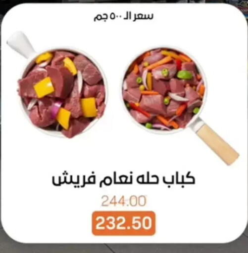 available at بيت الجملة in Egypt - القاهرة
