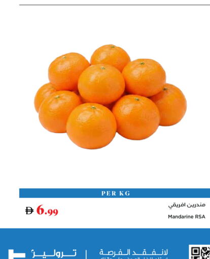 available at تروليز سوبرماركت in الإمارات العربية المتحدة , الامارات - دبي