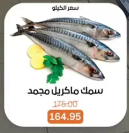 available at بيت الجملة in Egypt - القاهرة