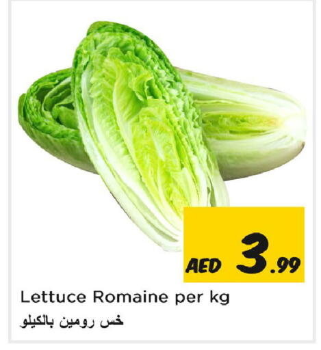 Lettuce available at Nesto Hypermarket in UAE - Sharjah / Ajman