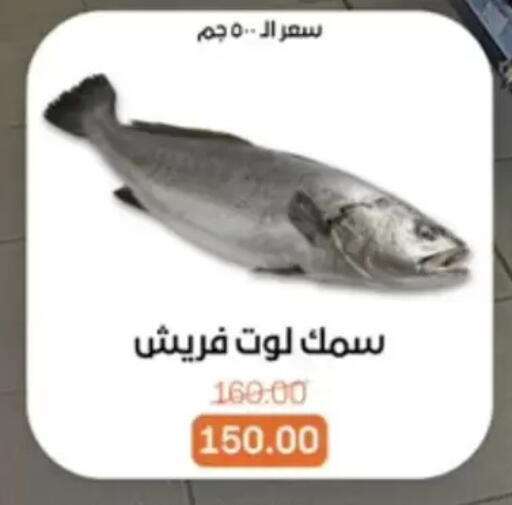 available at بيت الجملة in Egypt - القاهرة