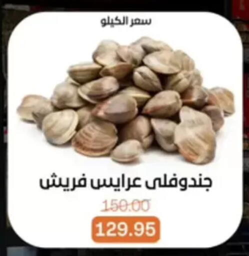 available at بيت الجملة in Egypt - القاهرة