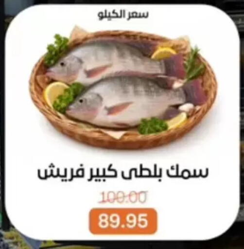 available at بيت الجملة in Egypt - القاهرة