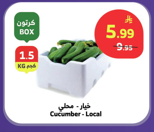 Cucumber available at Al Raya in KSA, Saudi Arabia, Saudi - Tabuk