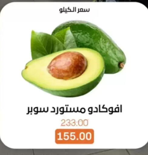 available at بيت الجملة in Egypt - القاهرة