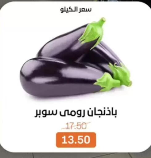 available at بيت الجملة in Egypt - القاهرة