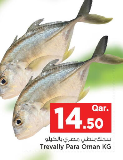 available at مارك & سيف in قطر - الريان