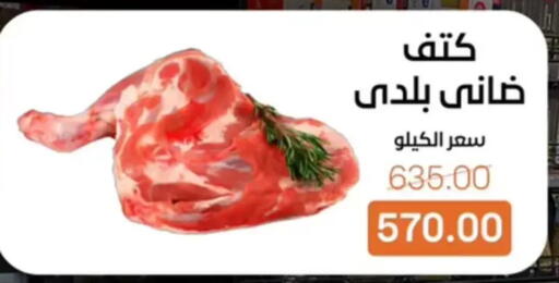 available at بيت الجملة in Egypt - القاهرة