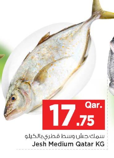 available at مارك & سيف in قطر - الريان