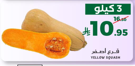 Squash available at ميرا مارت مول in مملكة العربية السعودية, السعودية, سعودية - جدة