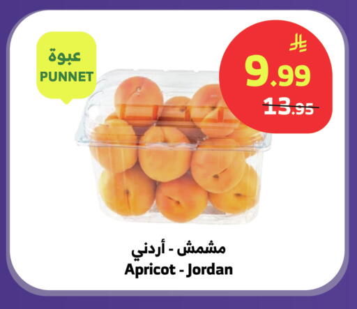 Apricot from Jordan available at الراية in مملكة العربية السعودية, السعودية, سعودية - تبوك