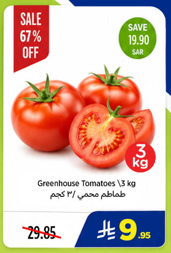 Tomato available at وهج مارت in مملكة العربية السعودية, السعودية, سعودية - جدة