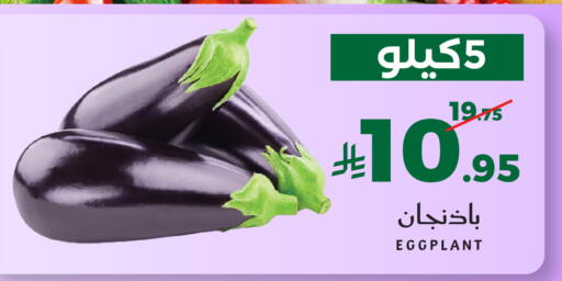 Eggplant available at ميرا مارت مول in مملكة العربية السعودية, السعودية, سعودية - جدة