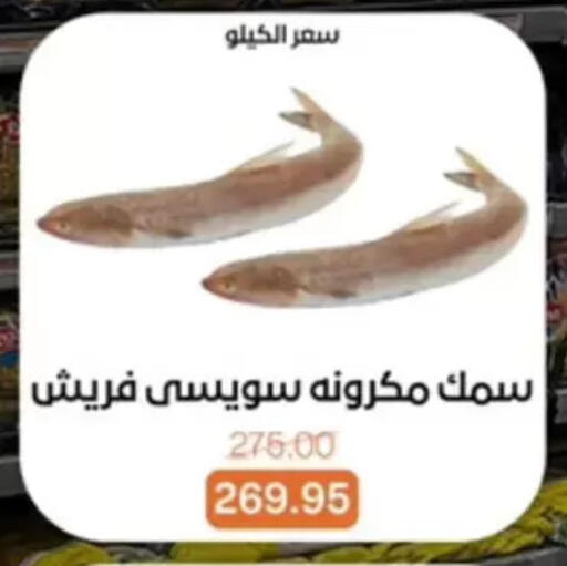 available at بيت الجملة in Egypt - القاهرة