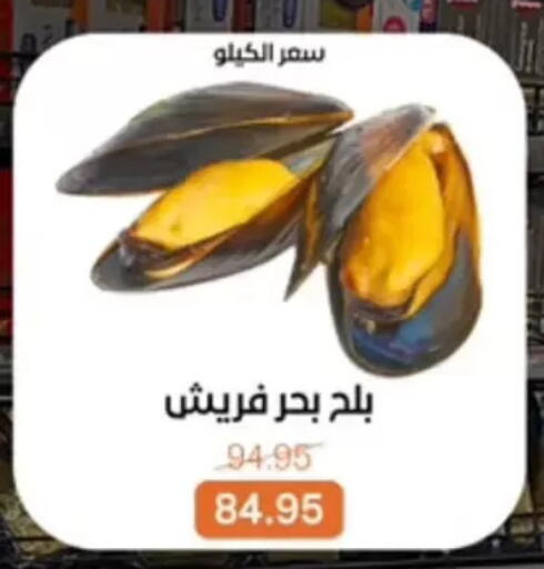 available at بيت الجملة in Egypt - القاهرة