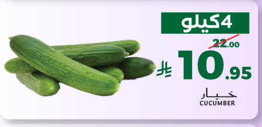 Cucumber available at ميرا مارت مول in مملكة العربية السعودية, السعودية, سعودية - جدة