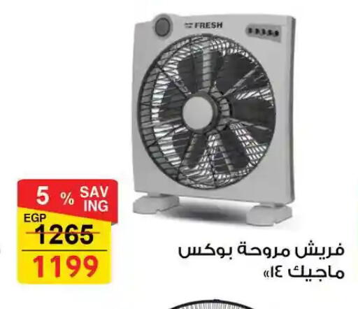 available at فتح الله in Egypt - القاهرة