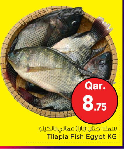 available at مارك & سيف in قطر - الريان