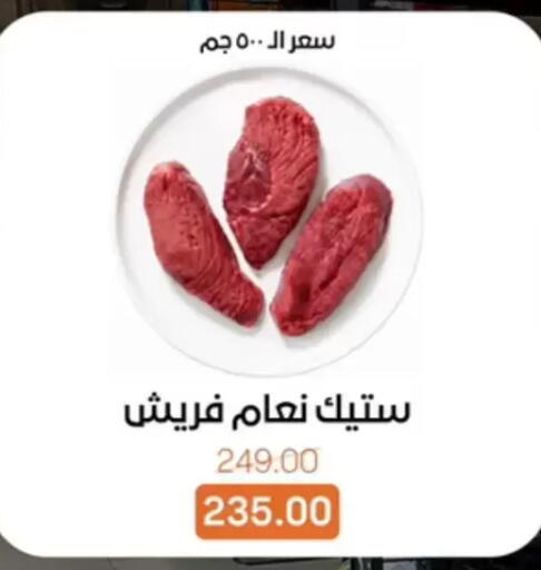 available at بيت الجملة in Egypt - القاهرة