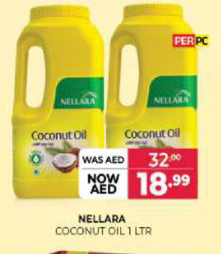 Coconut available at المدينة in الإمارات العربية المتحدة , الامارات - الشارقة / عجمان