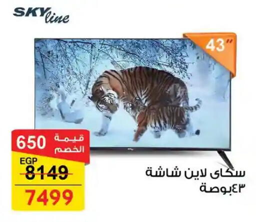 available at Fathalla Market  in Egypt - Cairo