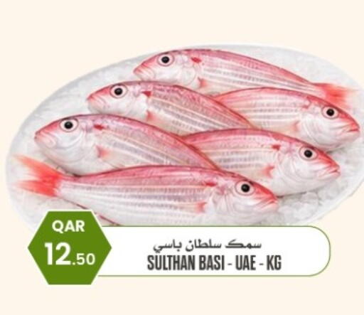 available at البلدي اليوم in قطر - الريان