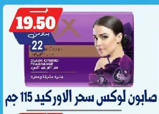 available at بندق ماركت in Egypt - القاهرة