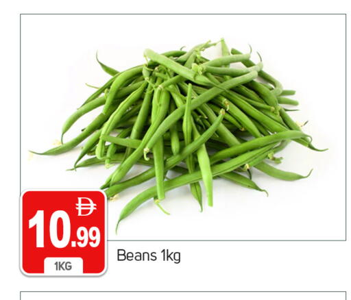 available at سوق طلال in الإمارات العربية المتحدة , الامارات - دبي
