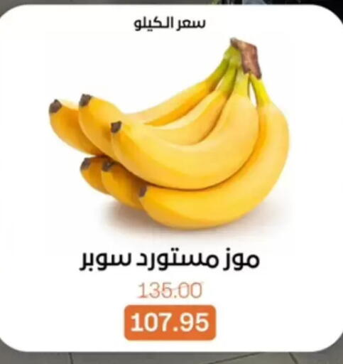available at بيت الجملة in Egypt - القاهرة