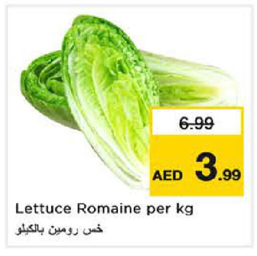 Lettuce available at Nesto Hypermarket in UAE - Sharjah / Ajman