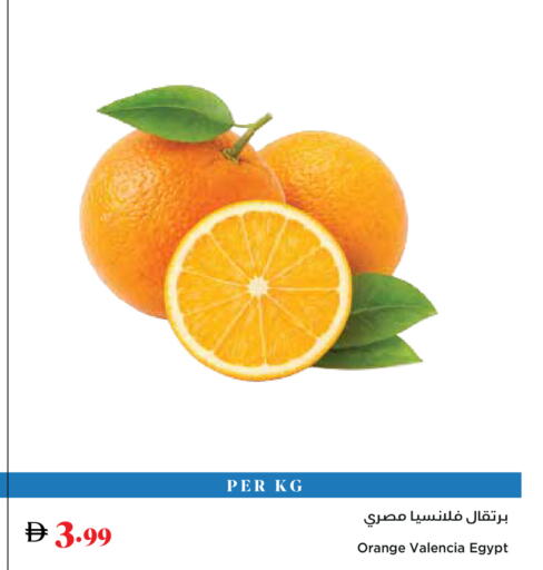 Orange from Egypt available at تروليز سوبرماركت in الإمارات العربية المتحدة , الامارات - دبي