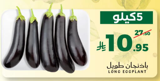 Eggplant available at ميرا مارت مول in مملكة العربية السعودية, السعودية, سعودية - جدة
