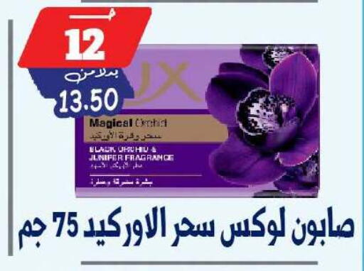 available at بندق ماركت in Egypt - القاهرة