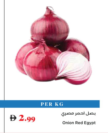 Onion from Egypt available at Trolleys Supermarket in UAE - Sharjah / Ajman