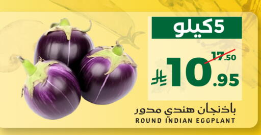 Eggplant from India available at ميرا مارت مول in مملكة العربية السعودية, السعودية, سعودية - جدة