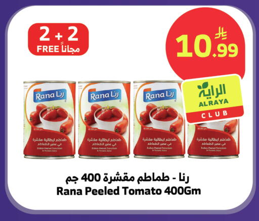 Tomato available at الراية in مملكة العربية السعودية, السعودية, سعودية - تبوك