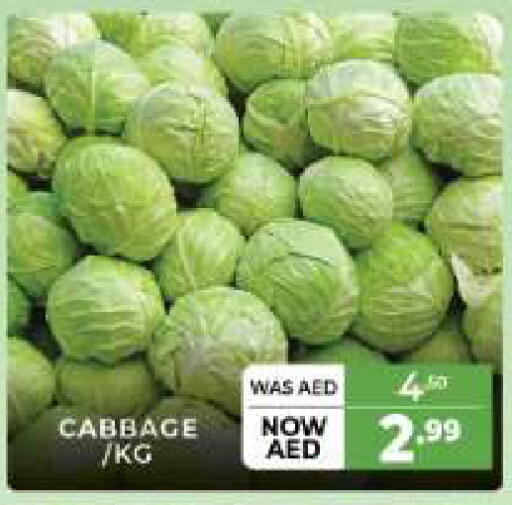 Cabbage available at المدينة in الإمارات العربية المتحدة , الامارات - الشارقة / عجمان