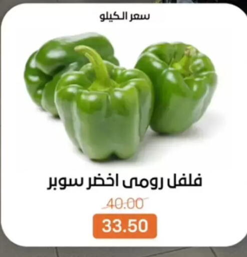 available at بيت الجملة in Egypt - القاهرة