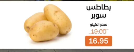 available at بيت الجملة in Egypt - القاهرة