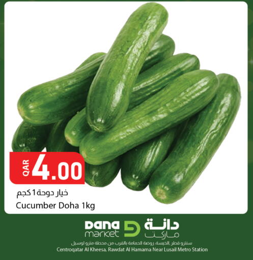 Cucumber available at Dana Market in Qatar - Al Daayen
