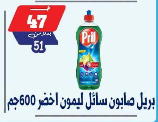 available at بندق ماركت in Egypt - القاهرة