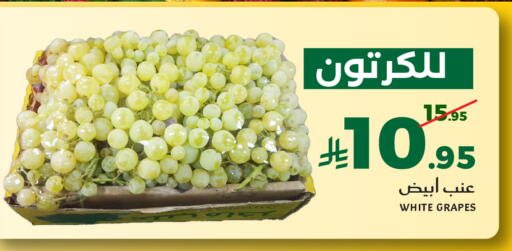 Grapes available at ميرا مارت مول in مملكة العربية السعودية, السعودية, سعودية - جدة