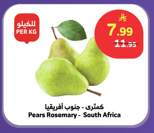 Rosemary from South Africa available at الراية in مملكة العربية السعودية, السعودية, سعودية - تبوك