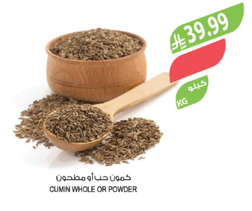 Cumin available at المزرعة in مملكة العربية السعودية, السعودية, سعودية - الخرج