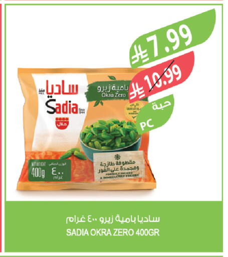 Okra available at المزرعة in مملكة العربية السعودية, السعودية, سعودية - تبوك